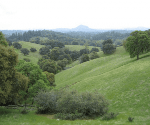 Amador County Traffic Ticket