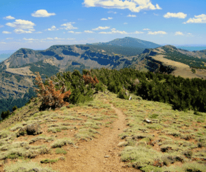 Modoc County Traffic Ticket