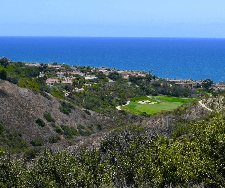 Laguna Woods Traffic Ticket